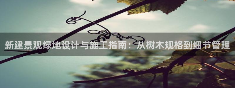白宫摩根娱乐地址