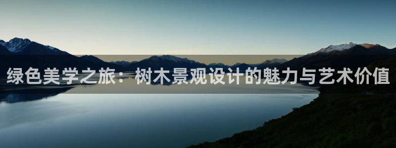 摩根大通王者娱乐