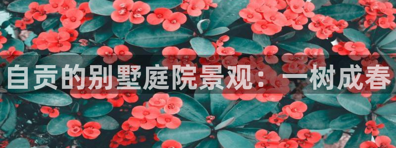 摩根娱乐宝如何提现