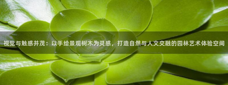 泉州摩根会娱乐有限公司