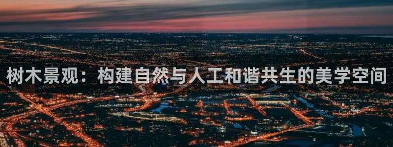 摩根娱乐1老o板50820