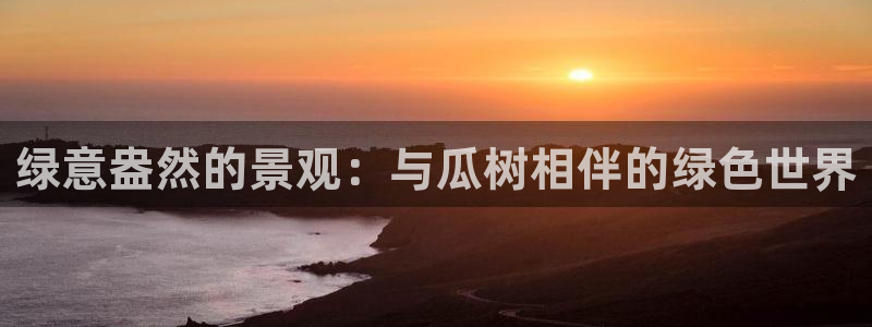 泉州摩根会娱乐有限公司