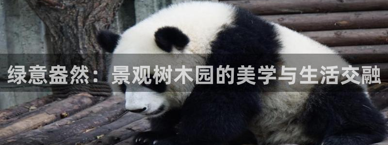 成都摩根娱乐会所