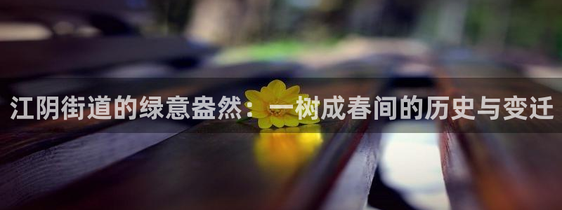 主角是摩根家族的娱乐文