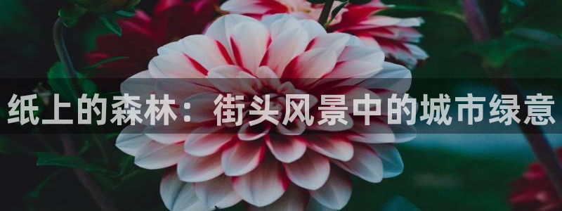 摩根国际娱乐宝合法吗