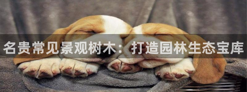 摩根娱乐宝怎样拉下线