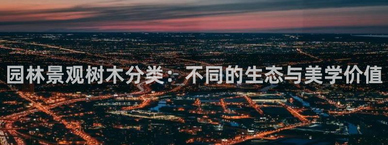 摩根娱乐50186找