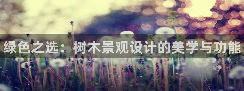 娱乐解说摩根王者荣耀