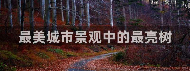 义乌市摩根娱乐厅