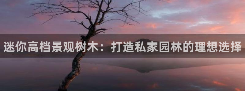 芜湖摩根一百有哪些娱乐