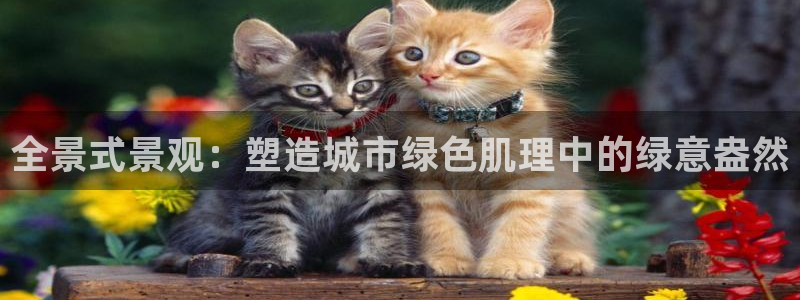 摩根娱乐宝怎么玩