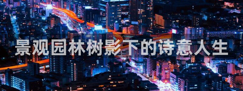 白宫摩根会娱乐会所