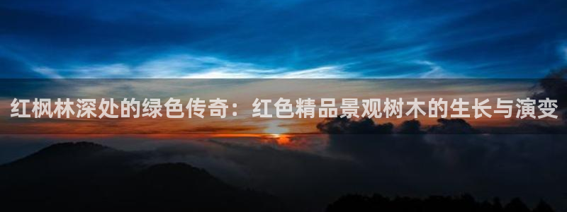 摩根娱乐宝。知道吗