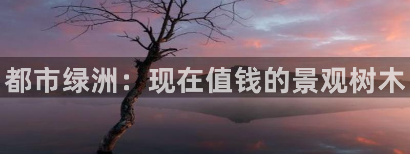 芜湖摩根一百有哪些娱乐