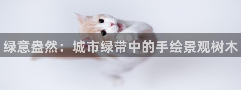 临平摩根娱乐会所地址