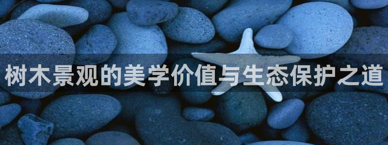 摩根大通黄金娱乐