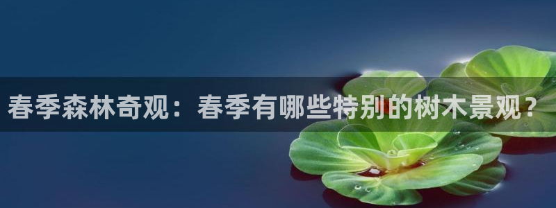 摩根娱乐帐7O777