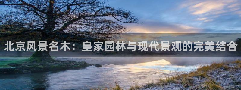 摩根娱乐会所电话