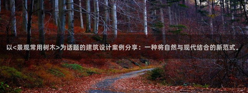 摩根娱乐宝登陆网址