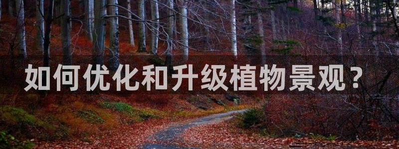 摩根娱乐会所门头