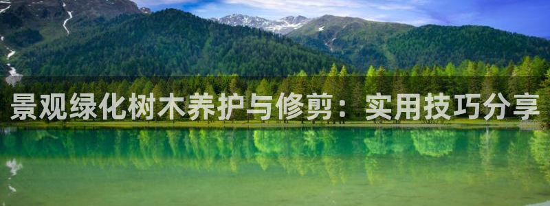 玩摩根娱乐宝亏了三千