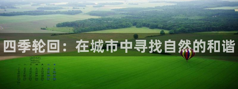 摩根娱乐总部在哪里：四季轮回：在城市中寻找自然的和谐