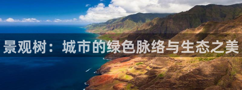 摩根2娱乐：景观树：城市的绿色脉络与生态之美