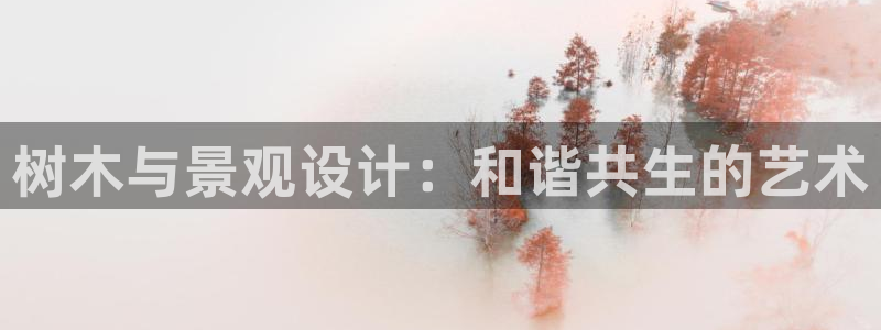 摩根娱乐宝口碑