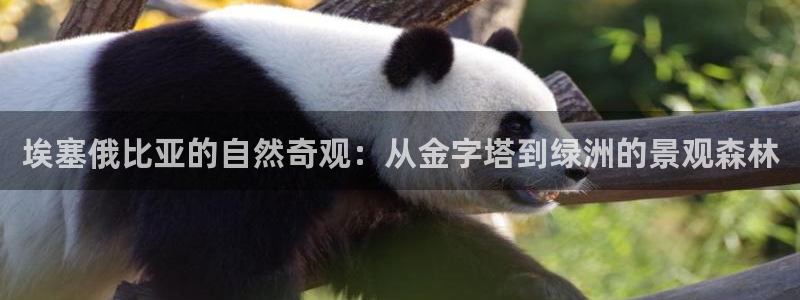 摩根娱乐宝合法吗