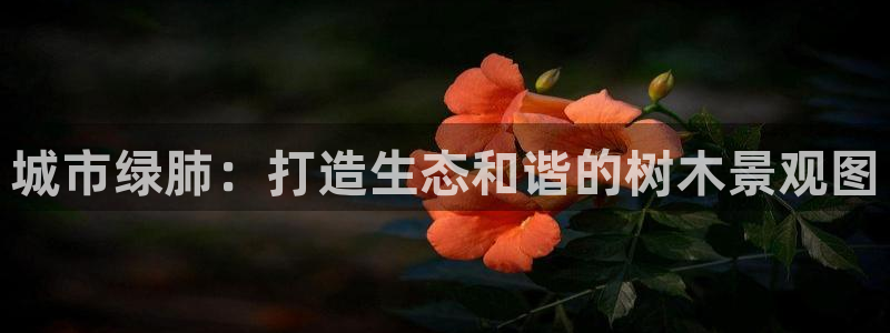 摩根士丹利娱乐银行