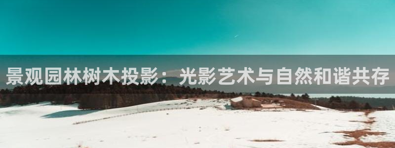 义务摩根娱乐会所：景观园林树木投影：光影艺术与自然和谐共存