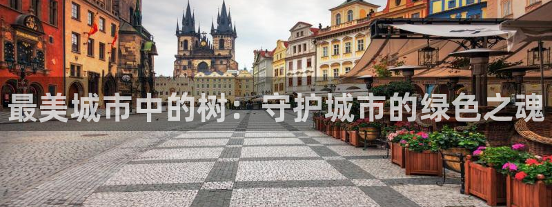 泉州摩根娱乐会所电话多少：最美城市中的树：守护城市的绿色之魂