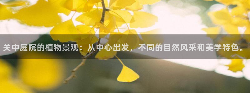 义乌摩根娱乐会所小费：关中庭院的植物景观：从中心出发，不同的自然风采和美学特色。