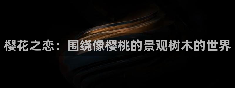 摩根国际娱乐宝官网