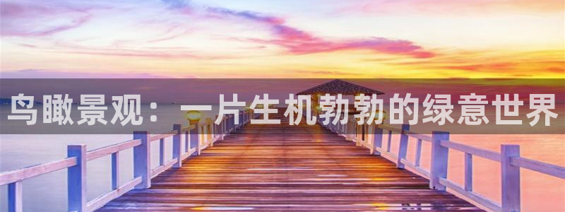 摩根娱乐50186加：鸟瞰景观：一片生机勃勃的绿意世界