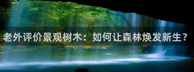 首页摩根娱乐平台：老外评价景观树木：如何让森林焕发新生？
