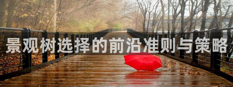 摩根国际商务娱乐会所