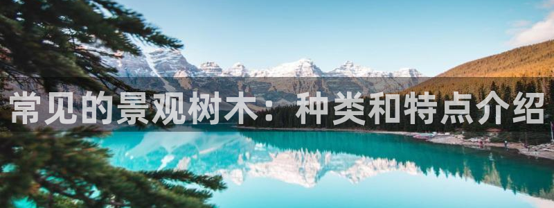 摩根娱乐宝是什么：常见的景观树木：种类和特点介绍