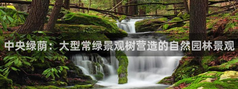 摩根娱乐会所