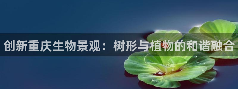 摩根娱乐是什么