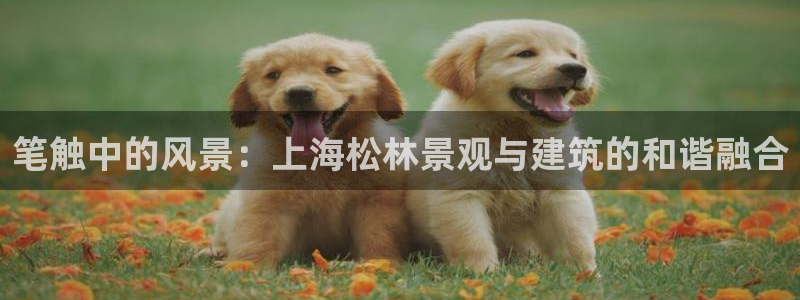 福建泉州白宫摩根会娱乐:笔触中的风景:上海松林景观与建筑的和谐融合